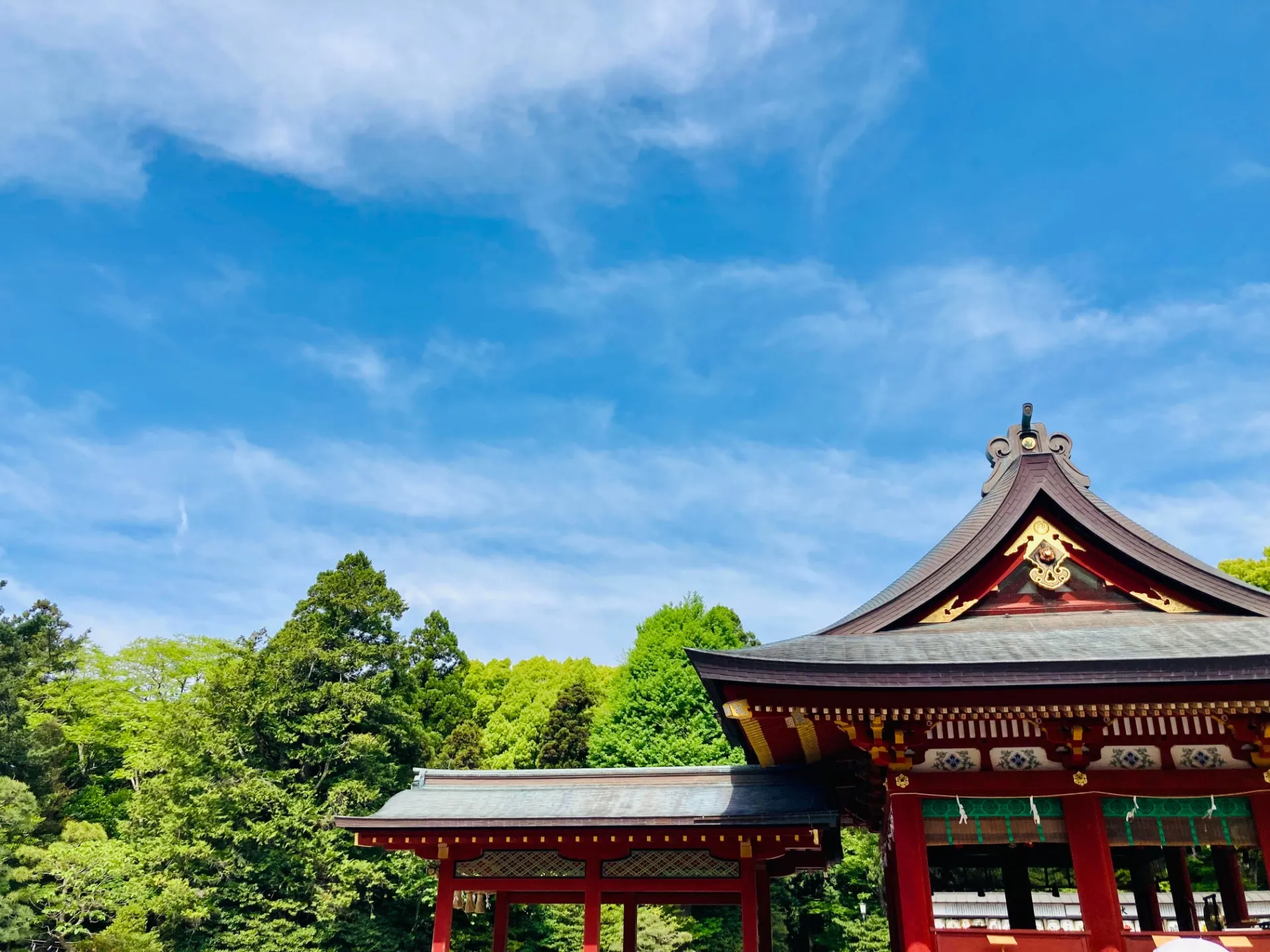 【年末限定の開運法】この時期だからこそできる幸せを引き寄せる作法！神社おかげ詣りのススメ